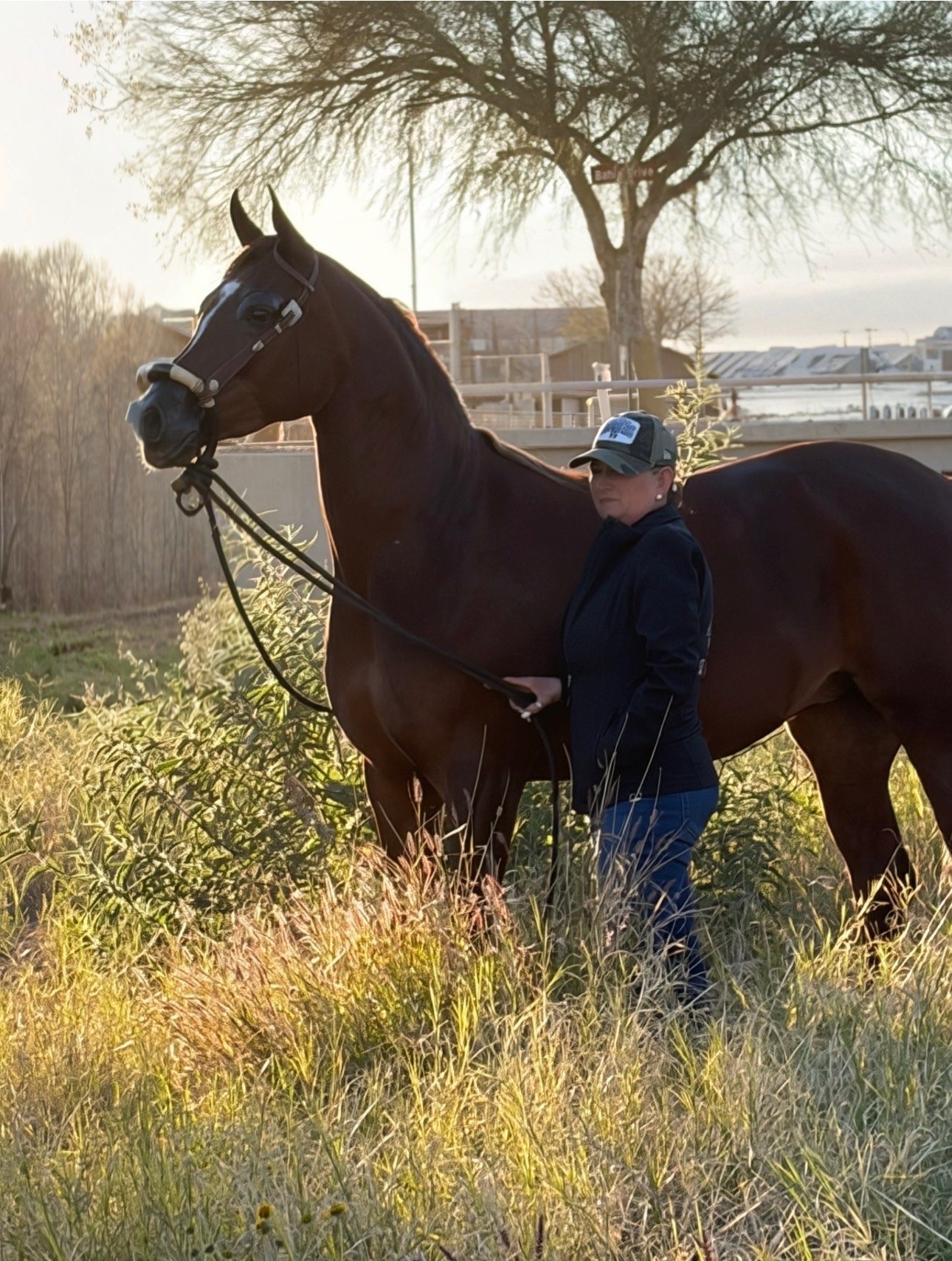 Barbara Wilson standing beside a horse